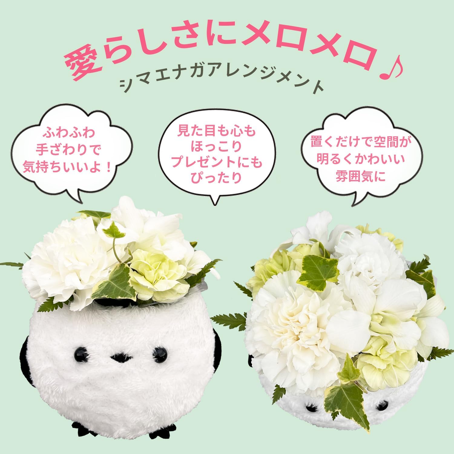 ���ޥ��ʥ� ����󥸥��� ��ʪ �ڲ� �ץ쥼��� �� ���ե� ���� ����� ����