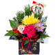 �޽ե���� ������β� ������ ����󥸥��� ����󥸲� �޽� �� ��쿷ǯ