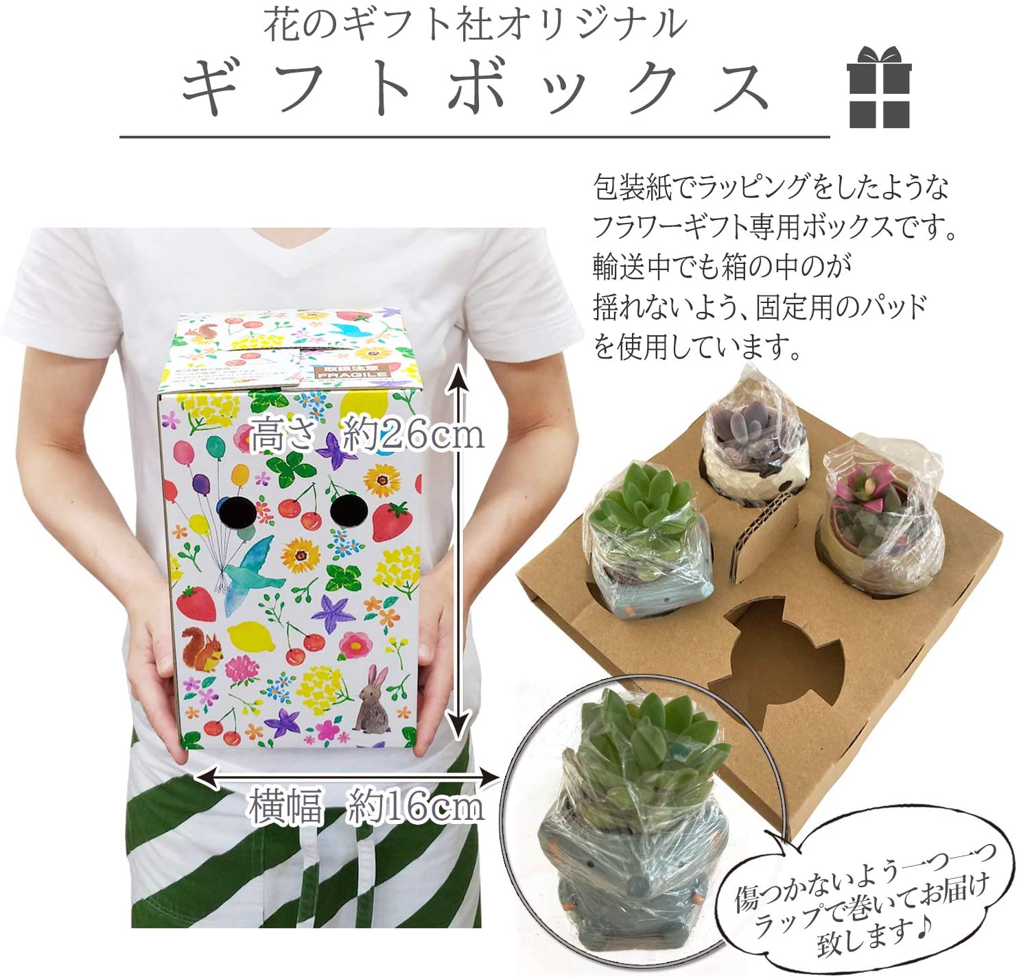 多肉植物 インテリア 観葉植物 ギフト 恐竜 鉢 ミニサイズ プチ