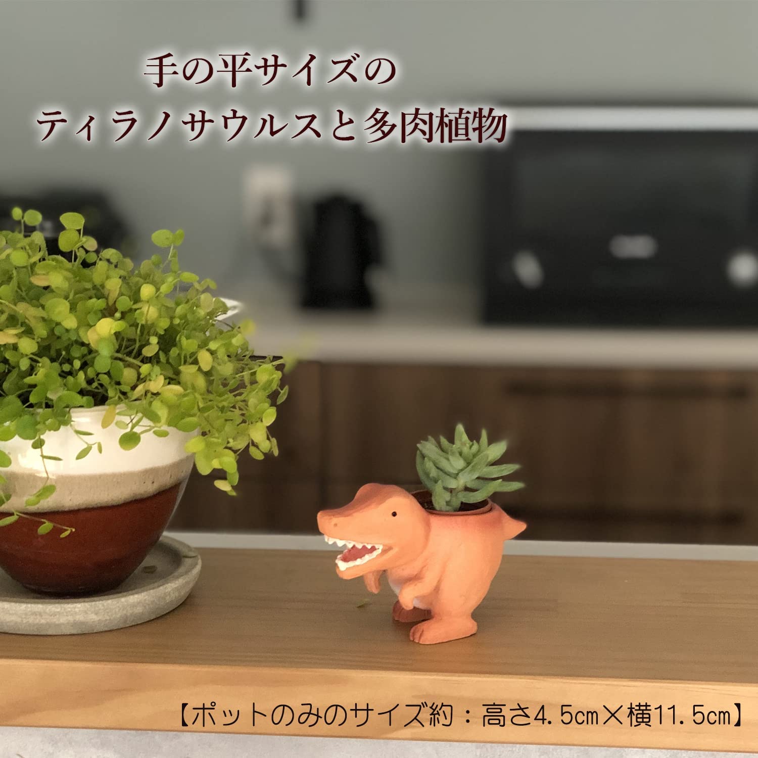 ¿����ʪ ����ƥꥢ ���տ�ʪ ���ե� ��ε ȭ �ߥ˥����� �ץ����ե� �ߥ˥ݥå�