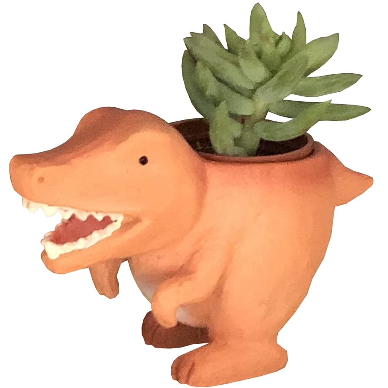 多肉植物 インテリア 観葉植物 ギフト 恐竜 鉢 ミニサイズ プチギフト