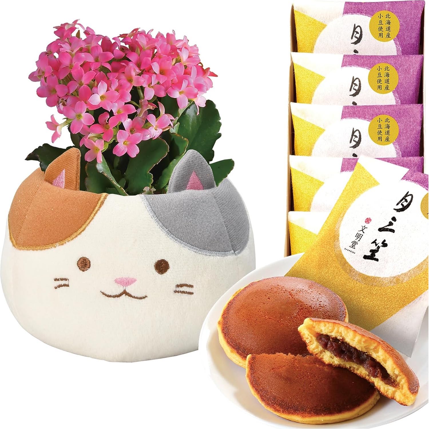 ����󥳥� �� ȭ���� �ץ쥼��� ���ե� ������ ���ˤ� ���� ��ȭ ȭ�� ���ۻ�