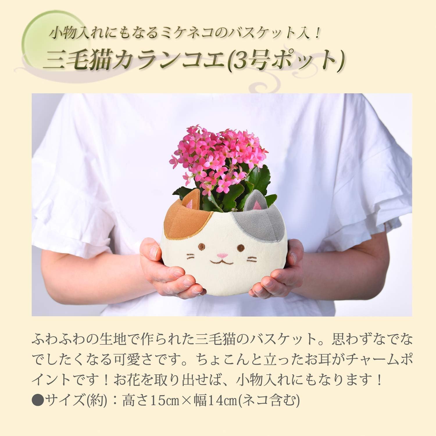 ����󥳥� �� ȭ���� �ץ쥼��� ���ե� ������ ���ˤ� ���� ��ȭ ȭ�� ���ۻ�