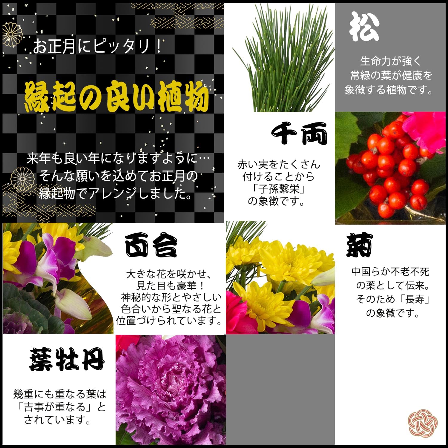 �޽ե���� ������β� ������ ����󥸥��� ��� �޽� ��쿷ǯ ����