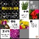 �޽ե���� ������β� ������ ����󥸥��� ��� �޽� ��쿷ǯ ����