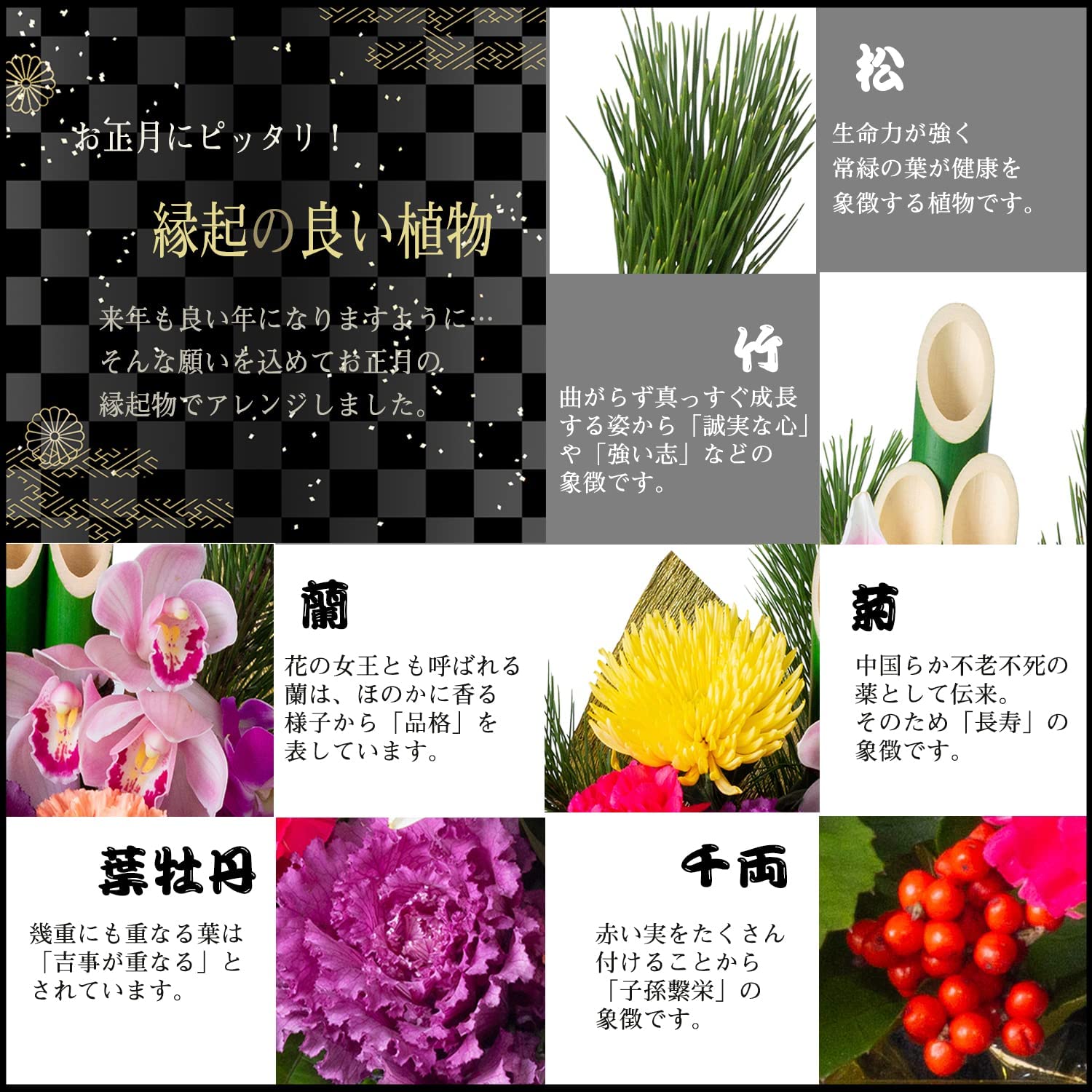 �޽ե���� ������β� ������ ����󥸥��� ����� ��� �޽� ��쿷ǯ