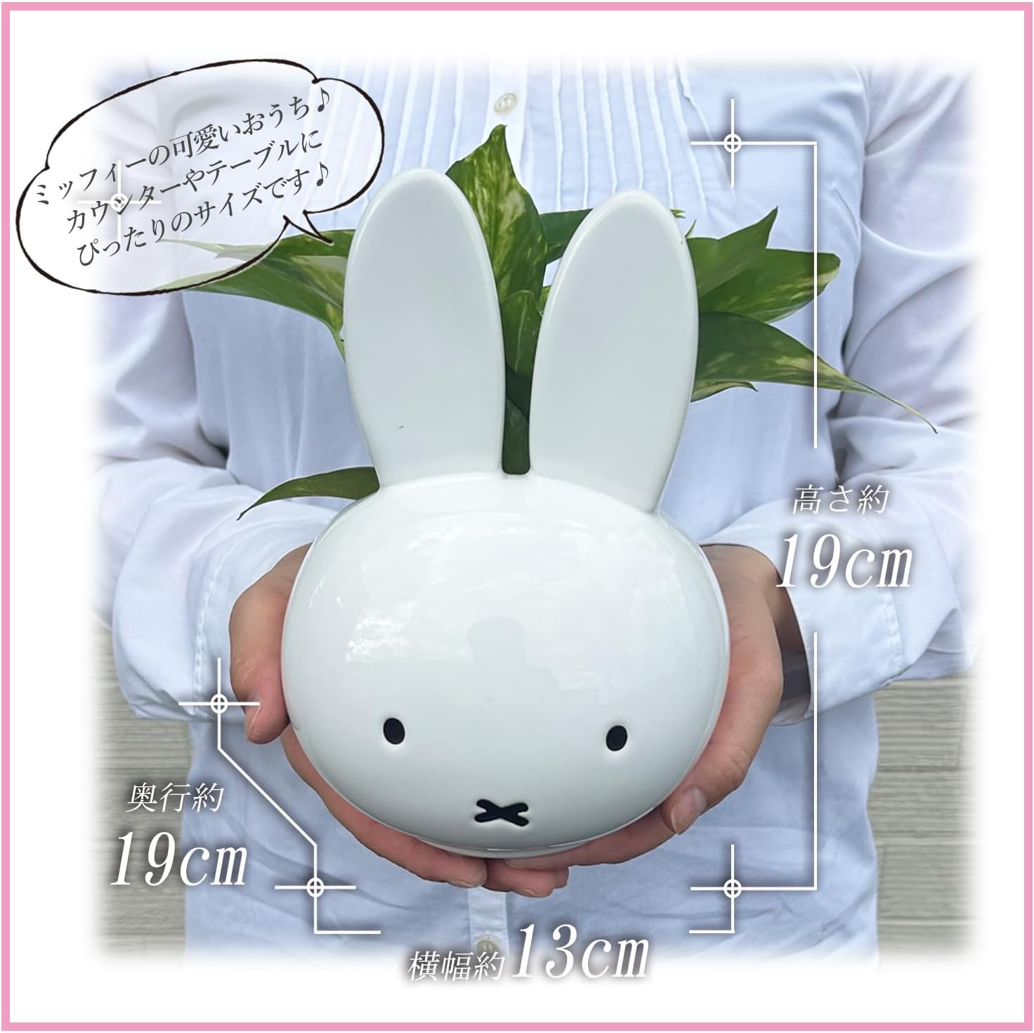 ߥåե ݥȥ  տʪ ȭ ץ쥼 ե ǥå֥롼