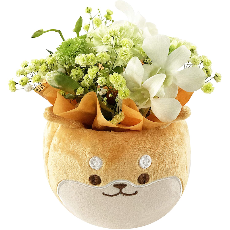 Ƹ  ץ쥼  󤸤礦 󥸥ȥե 