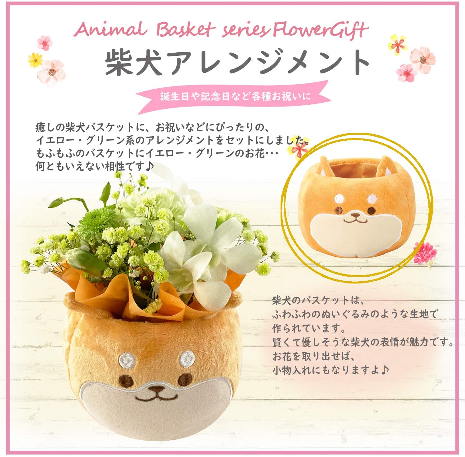 Ƹ  ץ쥼  󤸤礦 󥸥ȥե 