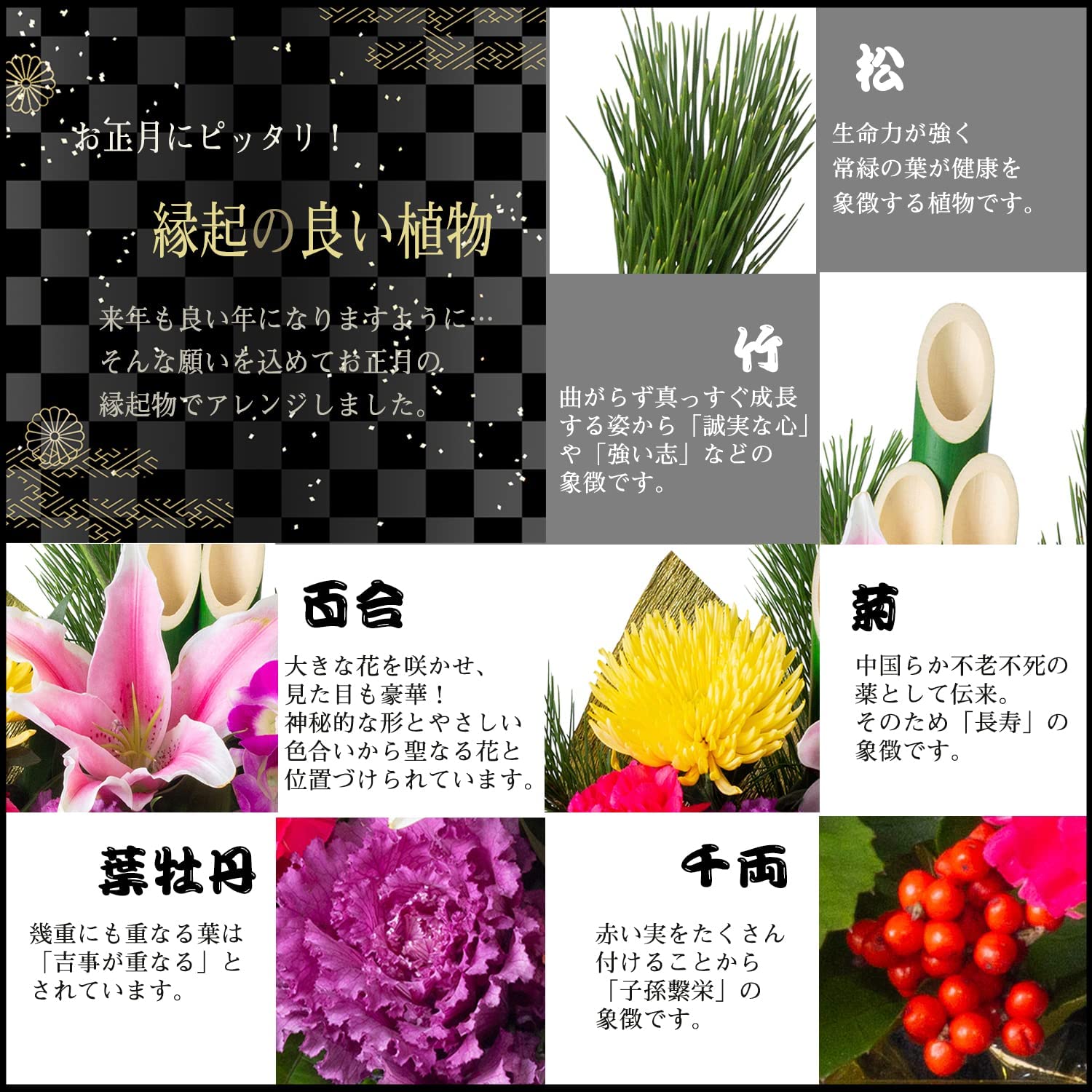 �޽ե���� ������β� ������ ����󥸥��� ����ǭ ���� �޽� ��쿷ǯ
