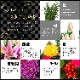 �޽ե���� ������β� ������ ����󥸥��� ����ǭ ���� �޽� ��쿷ǯ