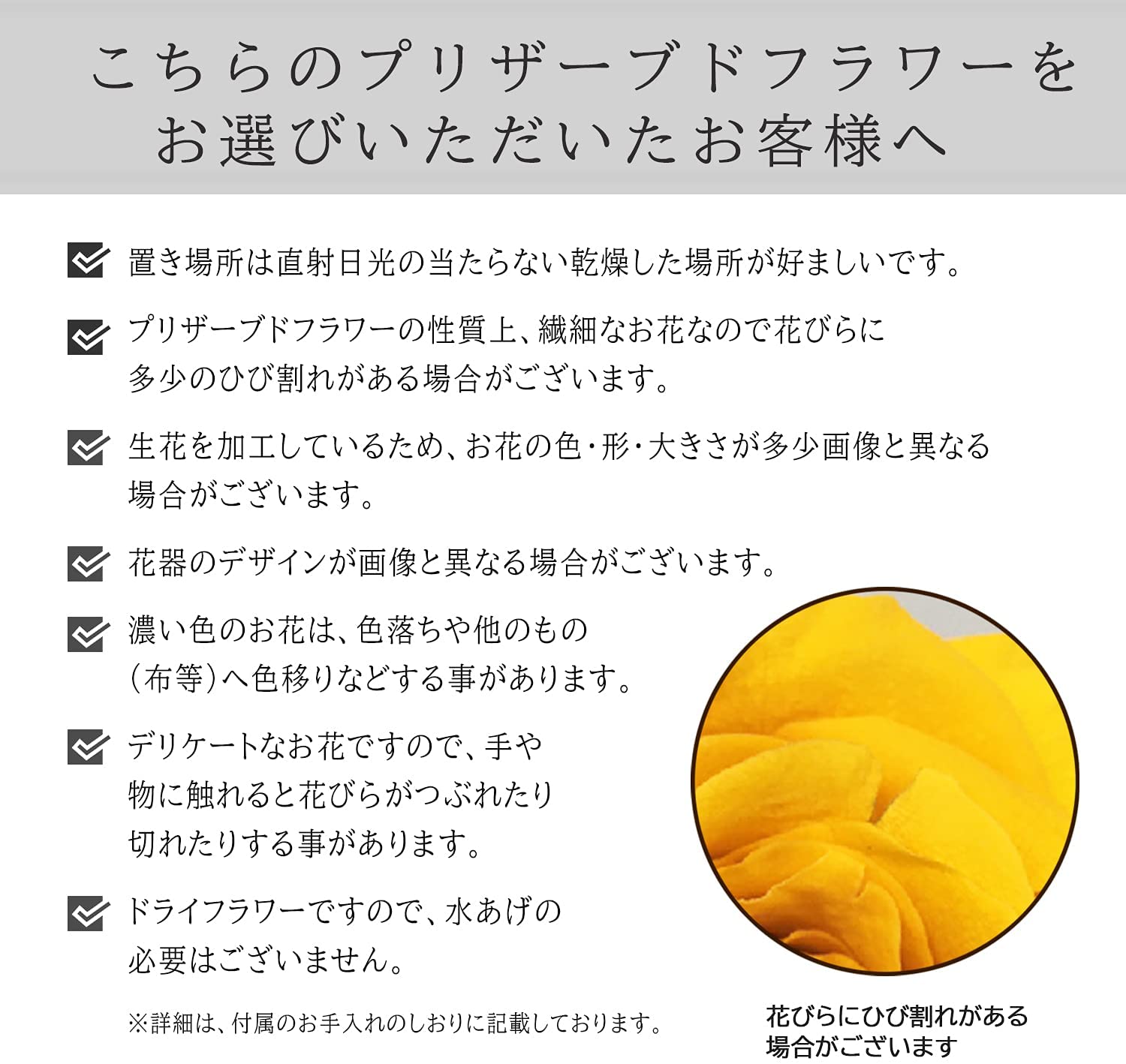 �ץꥶ���֥ɥե� ��ε ����ƥꥢ �ץ� ���ե� �ߥ˥ݥå� �ߥ� �ץ����ե�