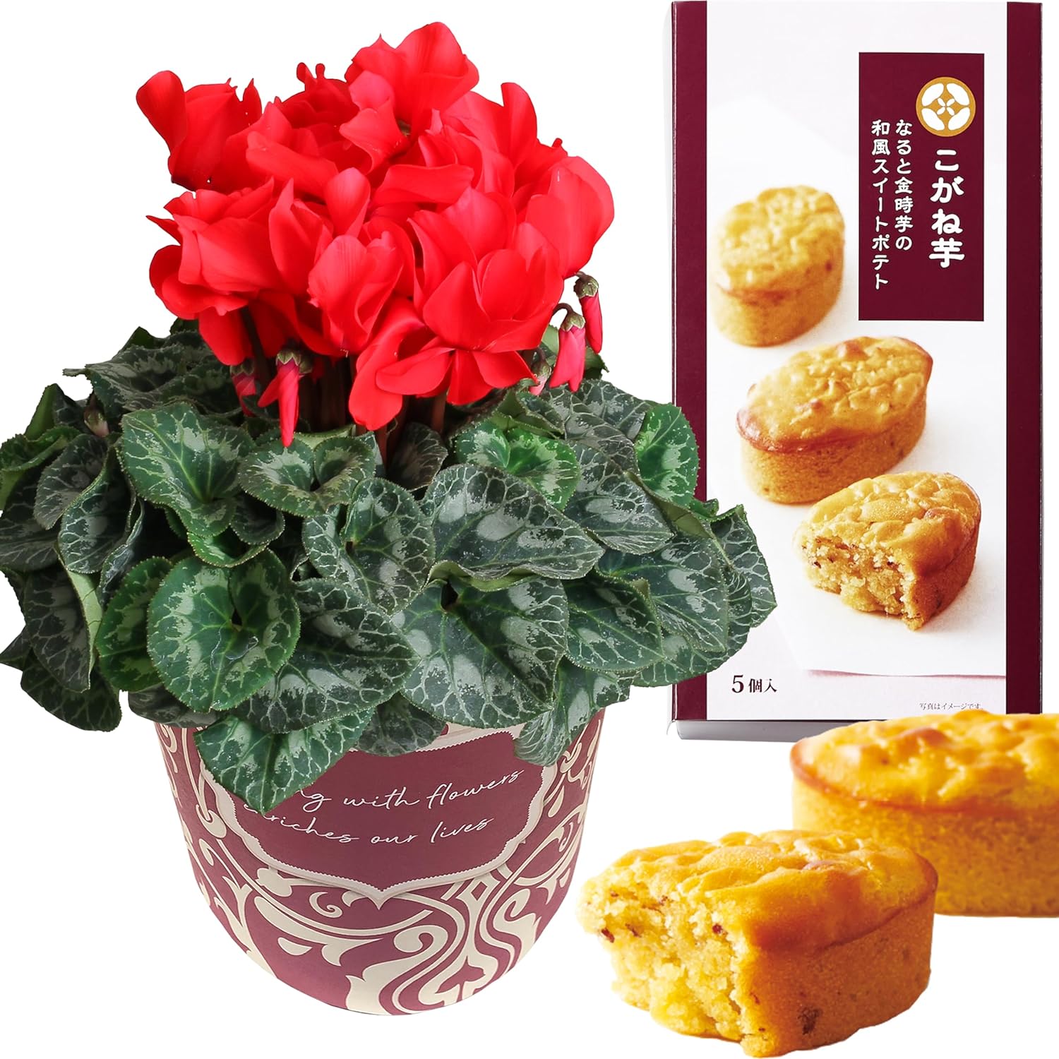 �������� ���ե� �ץ쥼��� �� ȭ���� ȭ�� ������ 5��ȭ �� ���ۻ� �²ۻ�