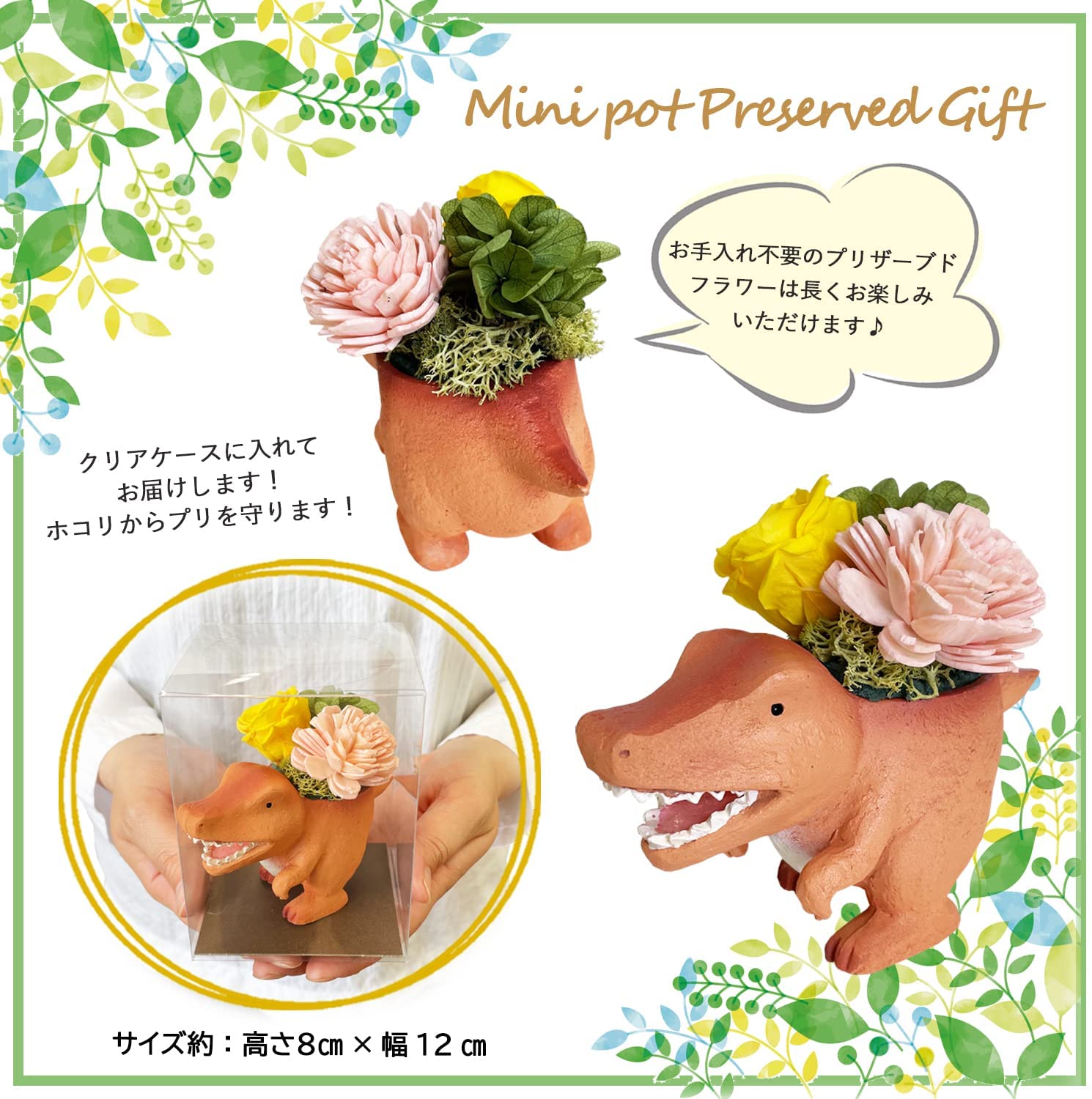 �ץꥶ���֥ɥե� ����ƥꥢ �ץ� ���ե� ��ε �ߥ˥ݥå� �ץ� �ץ����ե�