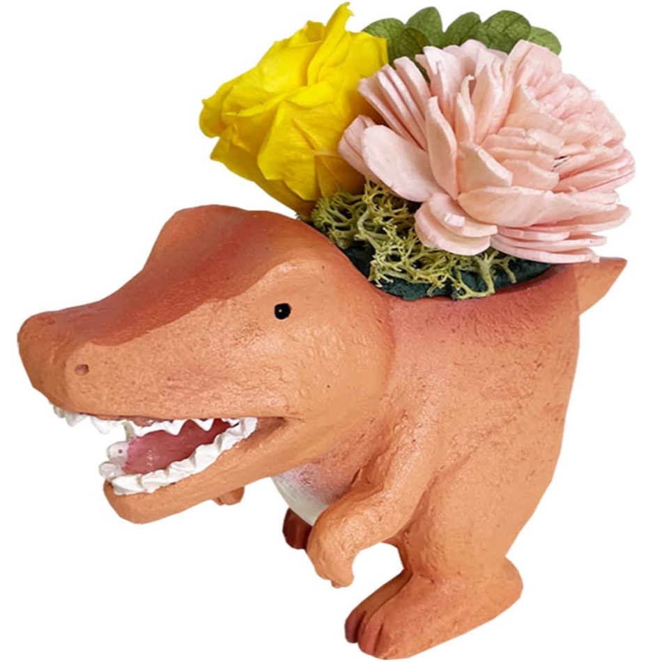 �ץꥶ���֥ɥե� ����ƥꥢ �ץ� ���ե� ��ε �ߥ˥ݥå� �ץ� �ץ����ե�