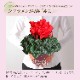 �������� ���ե� �ץ쥼��� �� ȭ���� ȭ�� ������ 5��ȭ �� ���ۻ� �²ۻ�