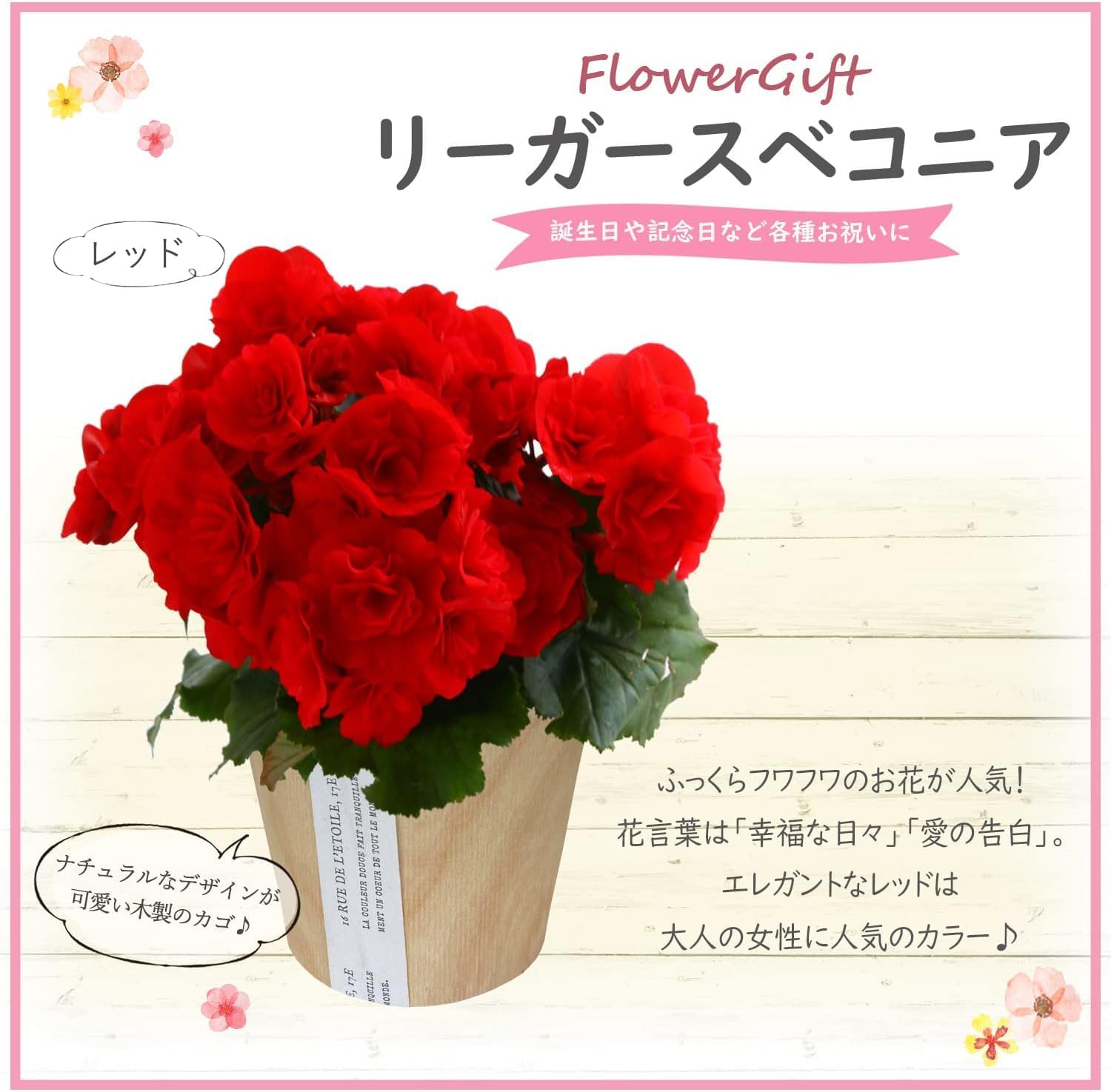 �꡼������ �٥��˥� �� ���ե� ������ �ץ쥼��� �꡼�������٥��˥� ȭ���� ��ȭ