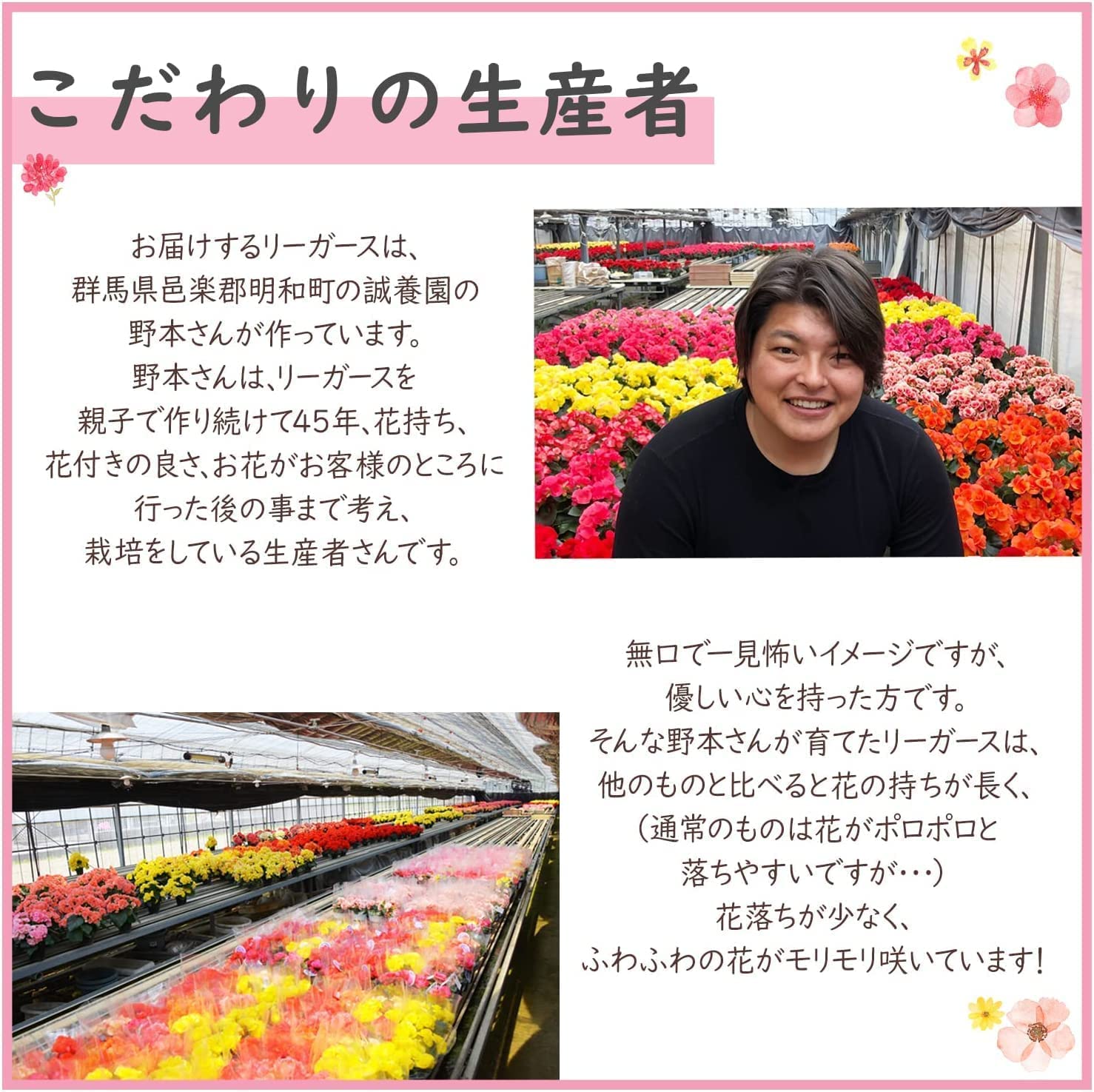 �꡼������ �٥��˥� �� ���ե� ������ �ץ쥼��� �꡼�������٥��˥� ȭ���� ��ȭ