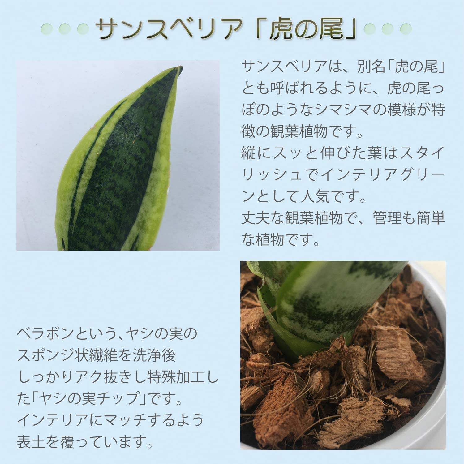���󥹥٥ꥢ 7��ȭ ����ƥꥢ�Х����å� ���տ�ʪ ����ƥꥢ ���꡼��