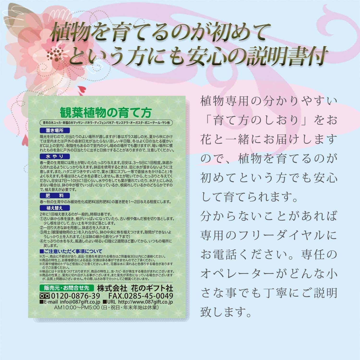 ���󥹥٥ꥢ 7��ȭ ����ƥꥢ�Х����å� ���տ�ʪ ����ƥꥢ ���꡼��