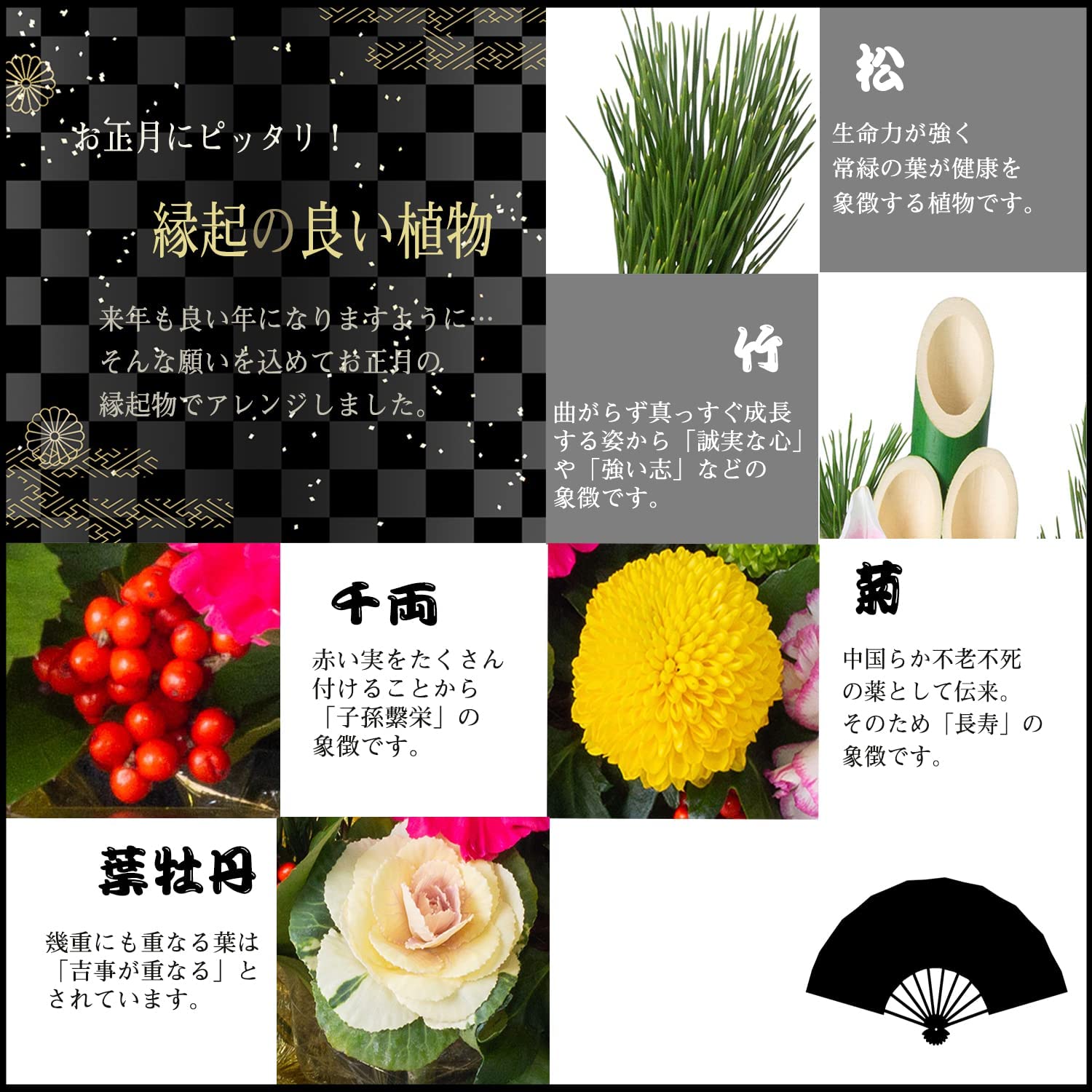 �޽ե���� ������β� ������ ����󥸥��� ����󥸲� �޽� �� ��쿷ǯ