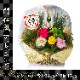 �޽ե���� ������β� ������ ����󥸥��� ����󥸲� �޽� �� ��쿷ǯ