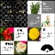 �޽ե���� ������β� ������ ����󥸥��� ����󥸲� �޽� �� ��쿷ǯ