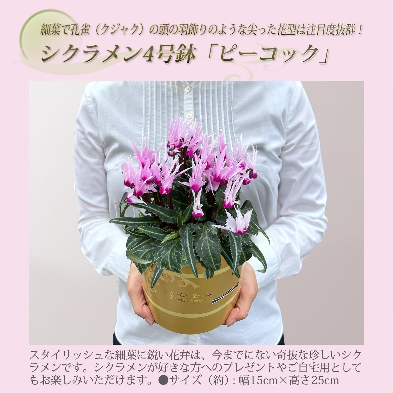 �������� ���ե� �ץ쥼��� �� ȭ���� ȭ�� ������ 4��ȭ �� �ԡ����å�