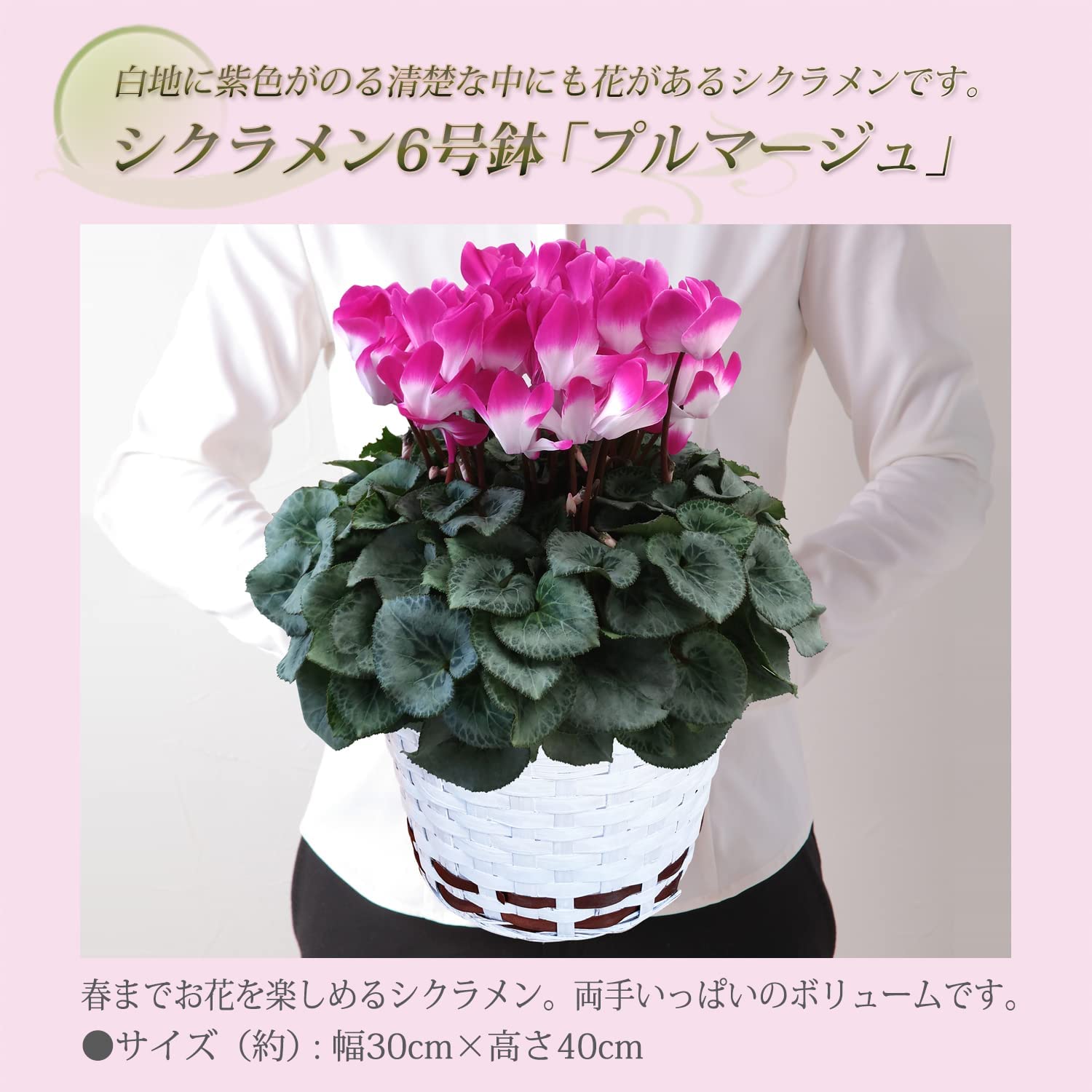 �������� ���ե� �ץ쥼��� �� ȭ���� ȭ�� ������ 6��ȭ �ץ�ޡ�����ѡ��ץ�