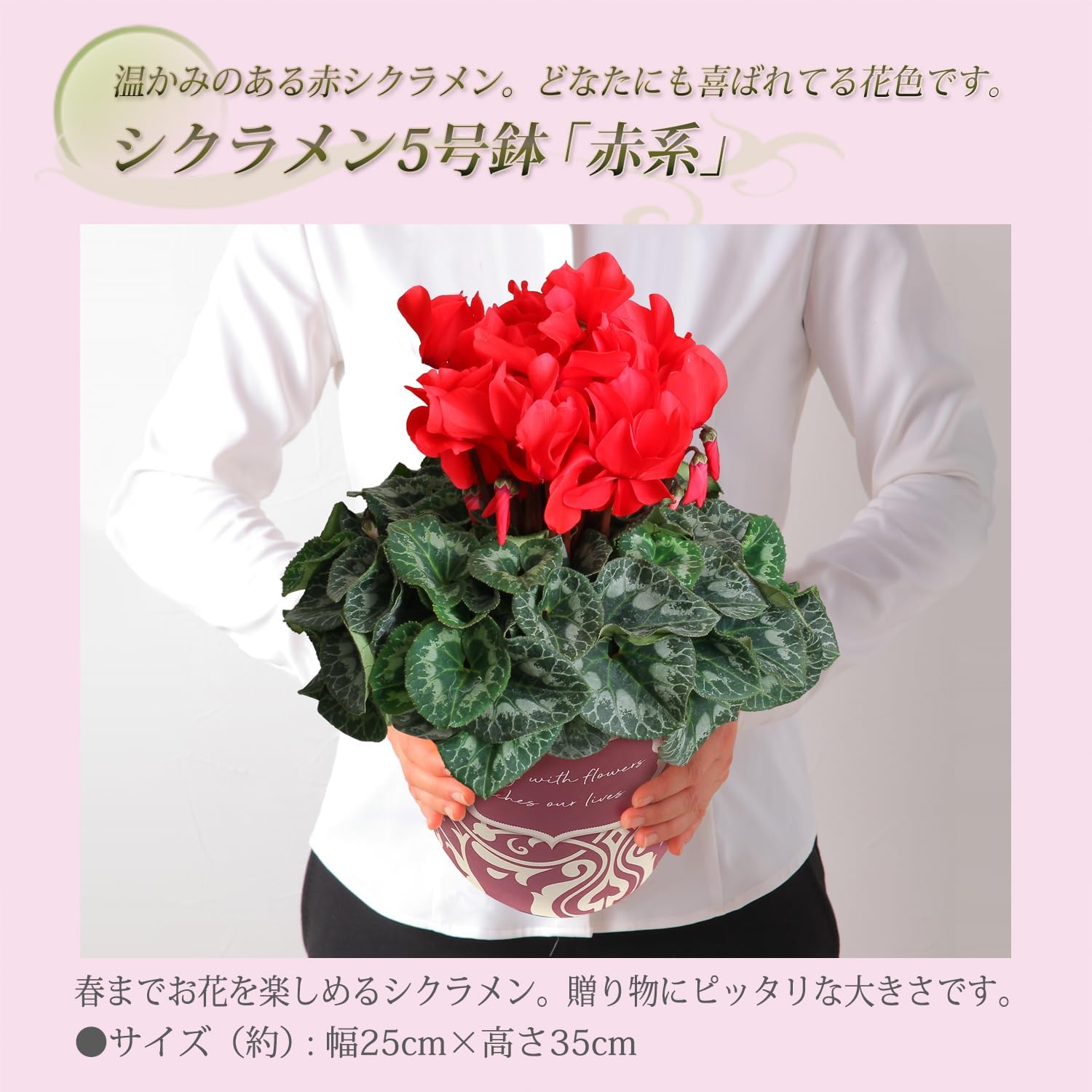 �������� ���ե� �ץ쥼��� �� ȭ���� ȭ�� ������ 5��ȭ �� ���ۻ� �²ۻ�