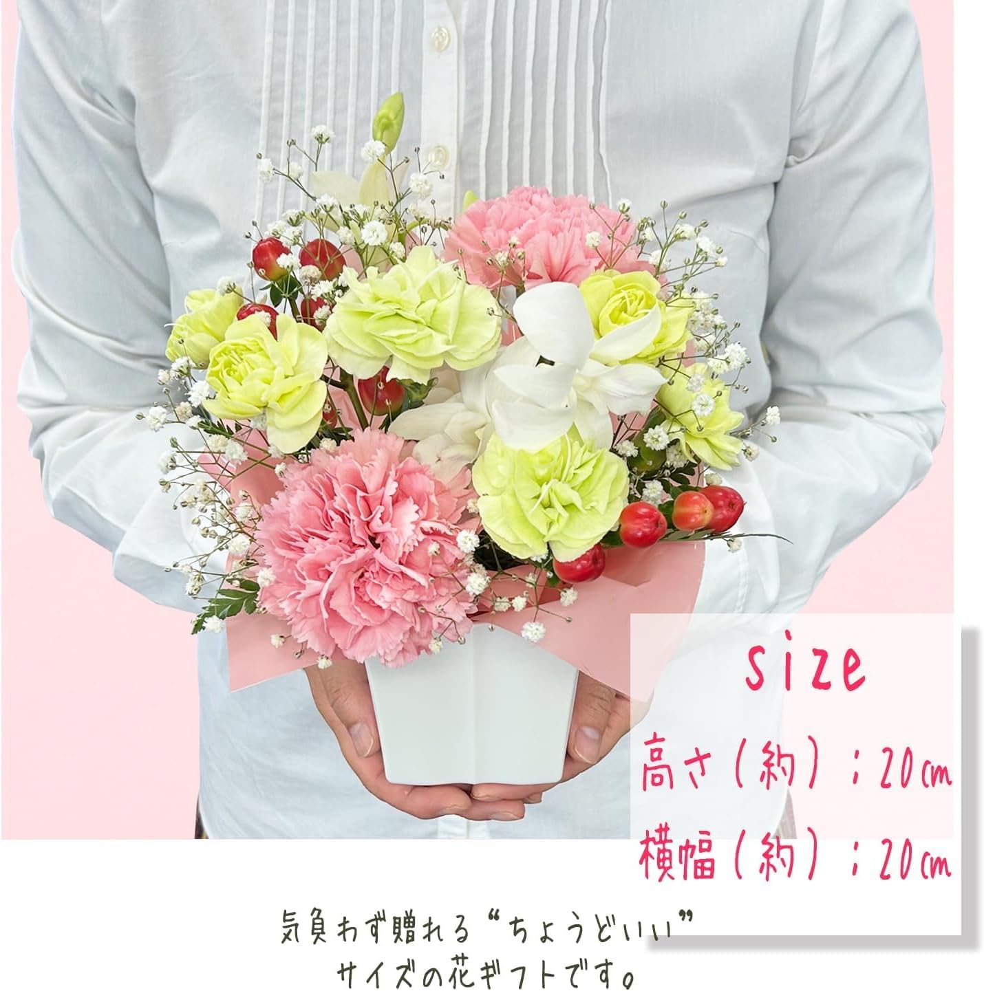 ���ۻ� �������ȥݥƥ� �������� ���ե� ���ˤ� ����󥸥��� �ԥ� �ץ쥼���