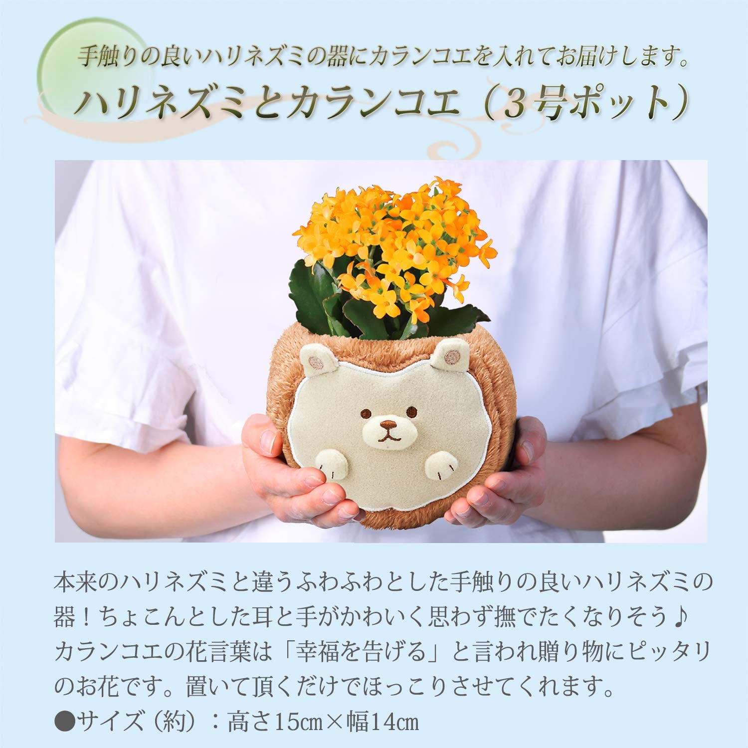 ����󥳥� ��ȭ ȭ���� �ե����ե� ���� �ϥ�ͥ��� �� �ץ쥼���