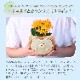����󥳥� ��ȭ ȭ���� �ե����ե� ���� �ϥ�ͥ��� �� �ץ쥼���