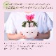 �������� ��������� �ץ쥼��� ���ե� �����ǥ󥷥����� ������ 2023����