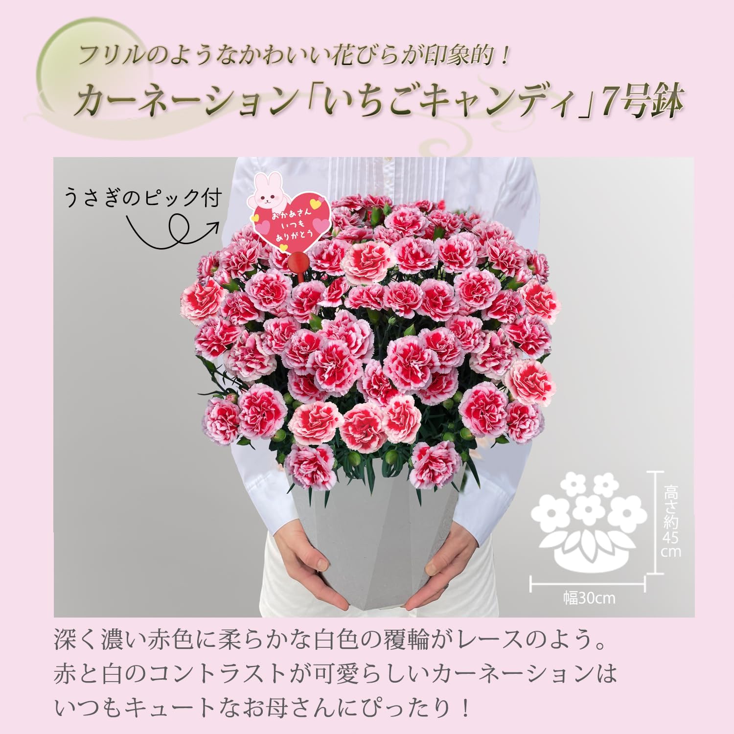 ����� �� ȭ���� �����͡������ �ץ쥼��� ��ȭ ��������ե� ������Υץ쥼���