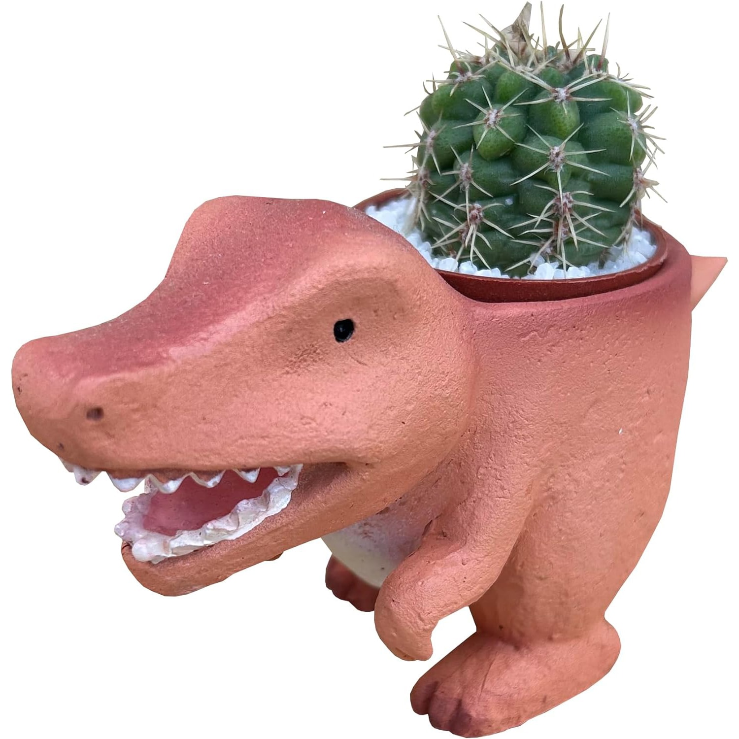 ���ܥƥ� ����ƥꥢ ���տ�ʪ ���ե� ��ε �ߥ˥ݥå� �ߥ˥����� �ץ����ե�