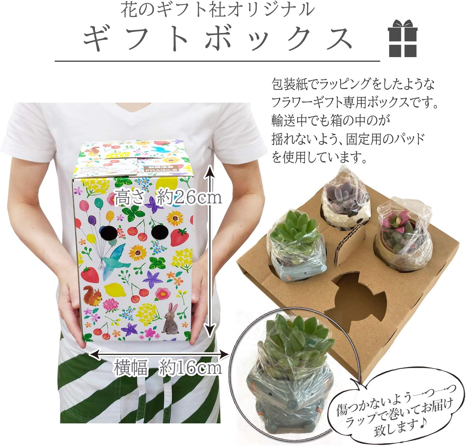 ���ܥƥ� ����ƥꥢ ���տ�ʪ ���ե� ��ε �ߥ˥ݥå� �ߥ˥����� �ץ����ե�