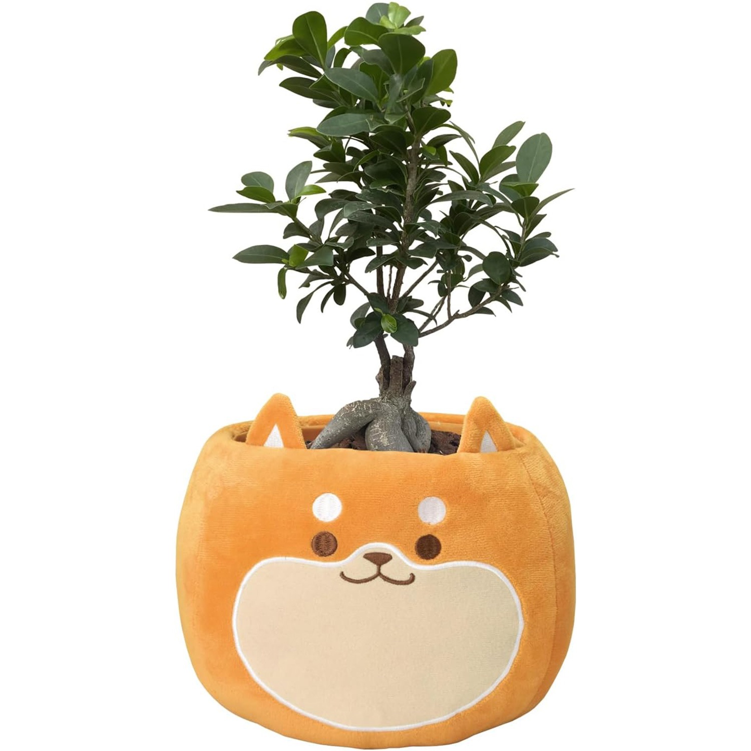 ������ޥ� ���ե� �ץ쥼��� ȭ���� ȭ�� ������ 5��ȭ �� �Ƹ� ��ʪ