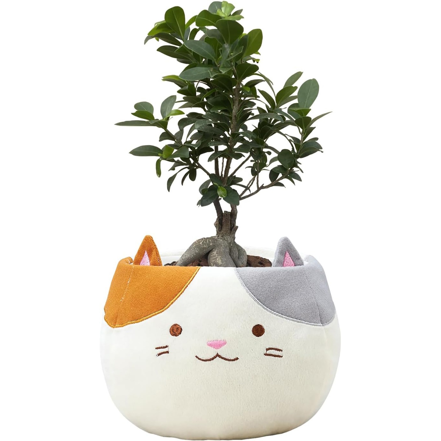 ������ޥ� ���ե� �ץ쥼��� �� ȭ���� ���տ�ʪ ������ 5��ȭ ��ʪ ����ǭ ǭ