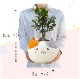 ������ޥ� ���ե� �ץ쥼��� �� ȭ���� ���տ�ʪ ������ 5��ȭ ��ʪ ����ǭ ǭ
