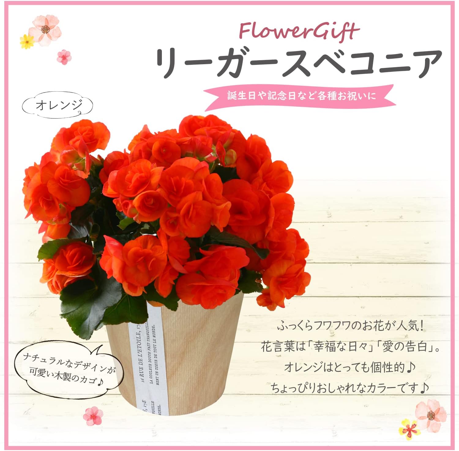 �꡼�������٥��˥� �� ���ե� ������ ��ȭ ȭ���� �ץ쥼���