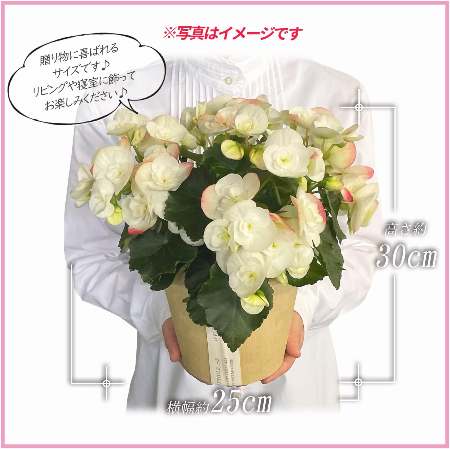 �꡼�������٥��˥� �� ���ե� ������ ��ȭ ȭ���� �ץ쥼���