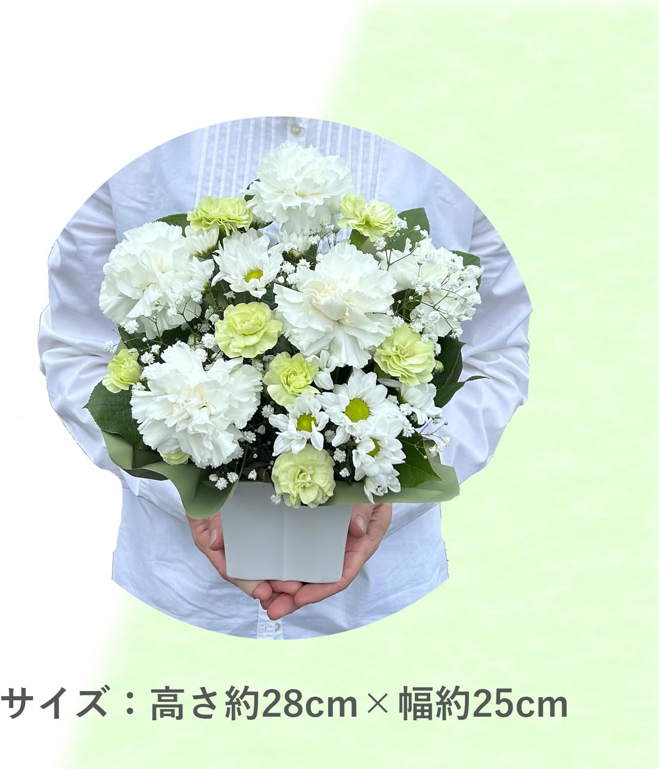 �֤Υ��եȼ� ����� ���� ���� ������ʪ ���� ʩ�� ������� ����� ���� ̿�� ���� ������