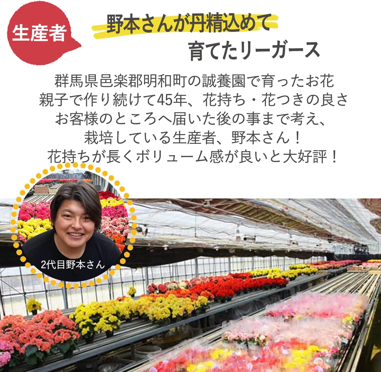 ꡼β ꡼٥˥ Ͱ ֤ȥ ٥˥  ȭ