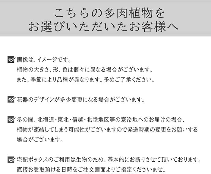 ���ܥƥ�󤻿��� ��ΤҤ饵���� ���� ���å��� �ȥ��� ����ƥꥢ