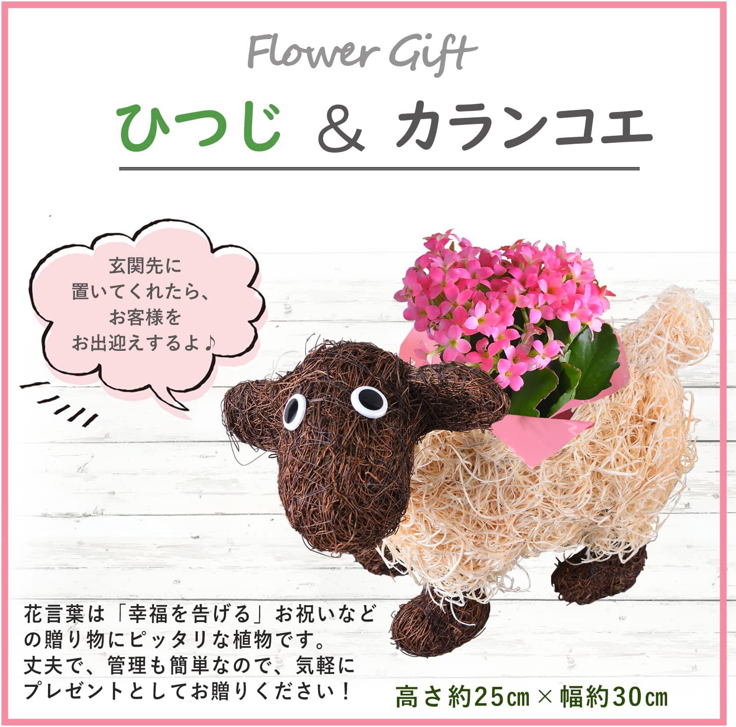 ��ȭ ȭ���� �ե����ե� ���� ����󥳥� ���ե� ưʪ �� ������ �ڥå�