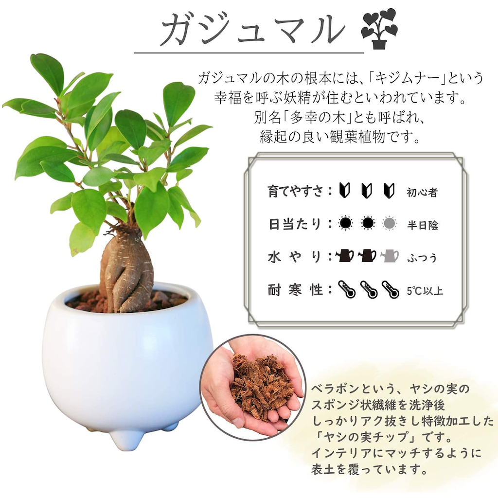奄美ケンムン 置物 木製 4個セット