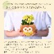 ����󥳥�ȭ���� �դ������Х����å� ���� ����󥳥� �դ��������ե� ȭ�� ��ȭ