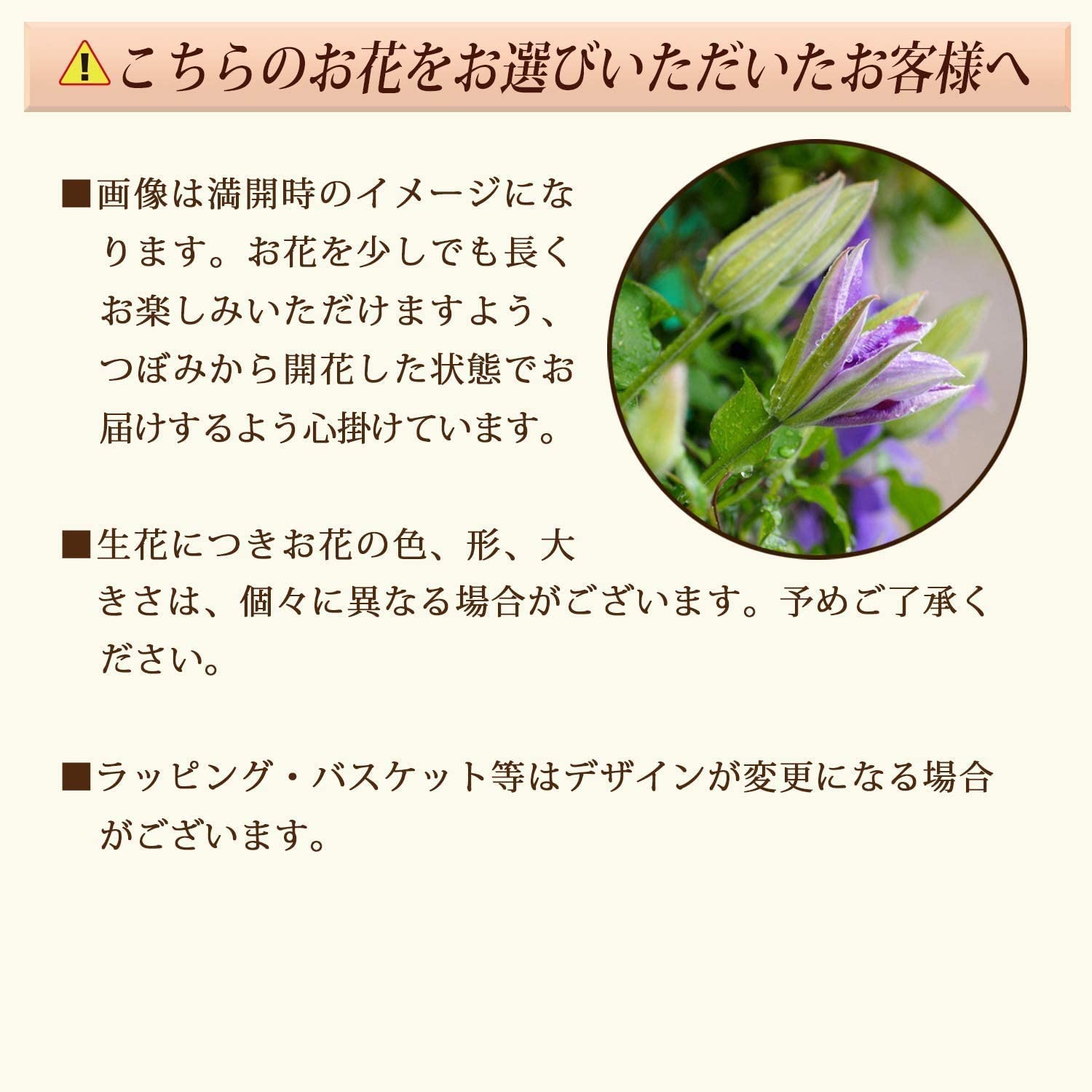 ����� �� ȭ���� ����ޥ��� �ץ쥼��� ��ȭ ȭ ��������ե� ������Υץ쥼���