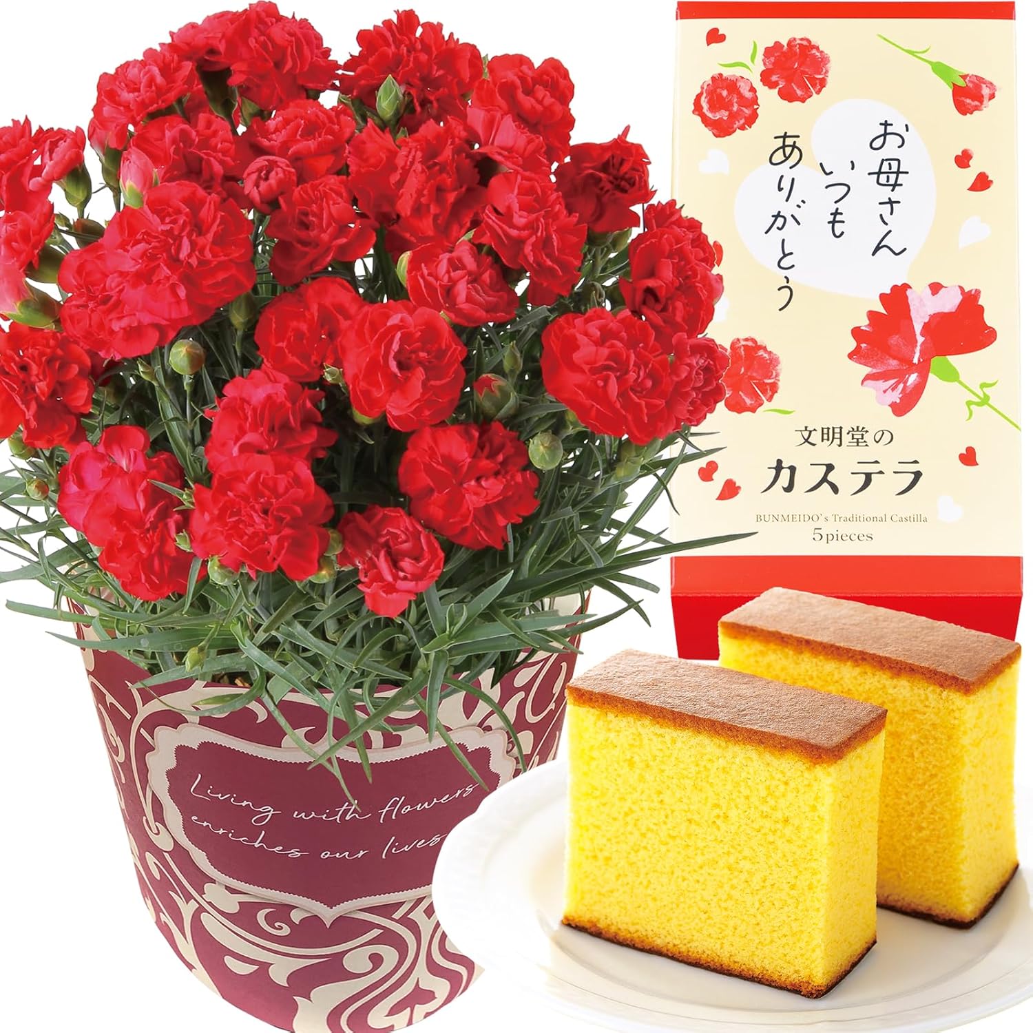 母の日 花とスイーツ 花 鉢植え カーネーション 花鉢 プレゼント お
